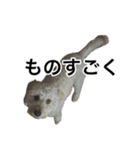 HIME〜ひめ〜Ver.6（個別スタンプ：6）