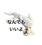 HIME〜ひめ〜（個別スタンプ：20）