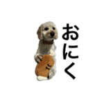 HIME〜ひめ〜（個別スタンプ：32）
