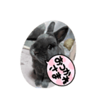 もちの日常（挨拶）（個別スタンプ：2）
