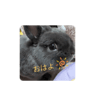 もちの日常（挨拶）（個別スタンプ：7）