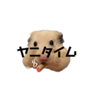 キンクマ八兵衛（個別スタンプ：7）
