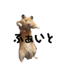 キンクマ八兵衛（個別スタンプ：9）