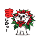 花猫【クリスマス】ポインセチアがお〜（個別スタンプ：2）