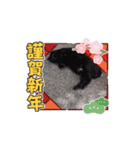 年末年始天拝（個別スタンプ：13）