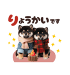 冬を感じる♡柴犬＆黒柴（個別スタンプ：13）