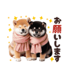 冬を感じる♡柴犬＆黒柴（個別スタンプ：15）