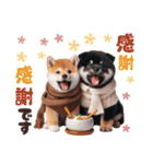 冬を感じる♡柴犬＆黒柴（個別スタンプ：30）