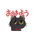 ねこちゃんぴっぴき（個別スタンプ：3）