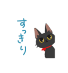 ねこちゃんぴっぴき（個別スタンプ：16）