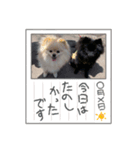 のわみるくvol.4（個別スタンプ：1）