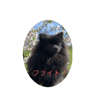 のわみるくvol.4（個別スタンプ：6）