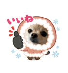 のわみるくvol.5（個別スタンプ：1）