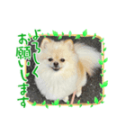 のわみるくvol.5（個別スタンプ：3）