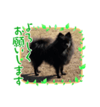 のわみるくvol.5（個別スタンプ：4）
