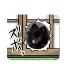 のわみるくvol.5（個別スタンプ：7）