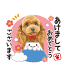 かわいい犬たち❤️飛び出す正月❤️プードル（個別スタンプ：1）