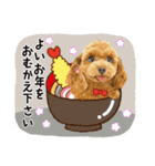 かわいい犬たち❤️飛び出す正月❤️プードル（個別スタンプ：3）