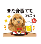 かわいい犬たち❤️飛び出す正月❤️プードル（個別スタンプ：7）