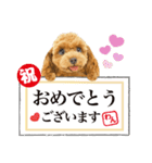 かわいい犬たち❤️飛び出す正月❤️プードル（個別スタンプ：9）