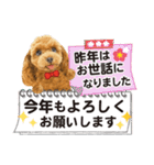 かわいい犬たち❤️飛び出す正月❤️プードル（個別スタンプ：11）