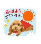 かわいい犬たち❤️飛び出す正月❤️プードル（個別スタンプ：13）