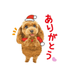 かわいい犬たち❤️飛び出す正月❤️プードル（個別スタンプ：14）