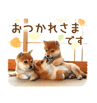 年末年始♪冬の柴犬だワン！（個別スタンプ：6）