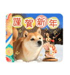 年末年始♪冬の柴犬だワン！（個別スタンプ：9）