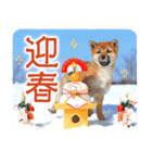 年末年始♪冬の柴犬だワン！（個別スタンプ：10）