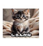 関西弁で話す かわいい子猫（個別スタンプ：18）