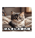 関西弁で話す かわいい子猫（個別スタンプ：20）