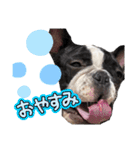 rukijirusi（個別スタンプ：7）
