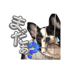 rukijirusi（個別スタンプ：9）