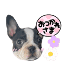 rukijirusi（個別スタンプ：13）