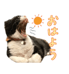 くーちゃんはゆく！（個別スタンプ：3）