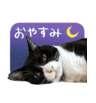くーちゃんはゆく！（個別スタンプ：4）