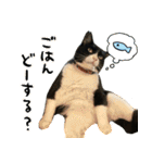 くーちゃんはゆく！（個別スタンプ：5）