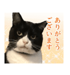 くーちゃんはゆく！（個別スタンプ：6）