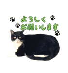 くーちゃんはゆく！（個別スタンプ：9）