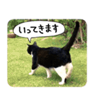 くーちゃんはゆく！（個別スタンプ：10）