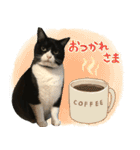 くーちゃんはゆく！（個別スタンプ：14）