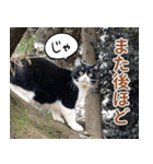 くーちゃんはゆく！（個別スタンプ：17）