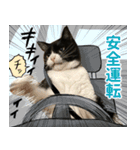 くーちゃんはゆく！（個別スタンプ：22）