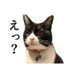 くーちゃんはゆく！（個別スタンプ：26）