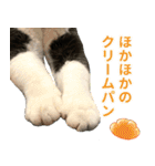 くーちゃんはゆく！（個別スタンプ：28）