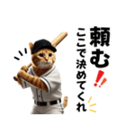 応援に使える！リアル野球猫（個別スタンプ：17）