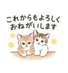 冬の毎日と年末年始☆猫たちのスタンプ（個別スタンプ：19）