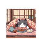 イロイロ猫（個別スタンプ：11）