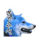 日常的な会話をする柴犬_4（修正版）（個別スタンプ：13）